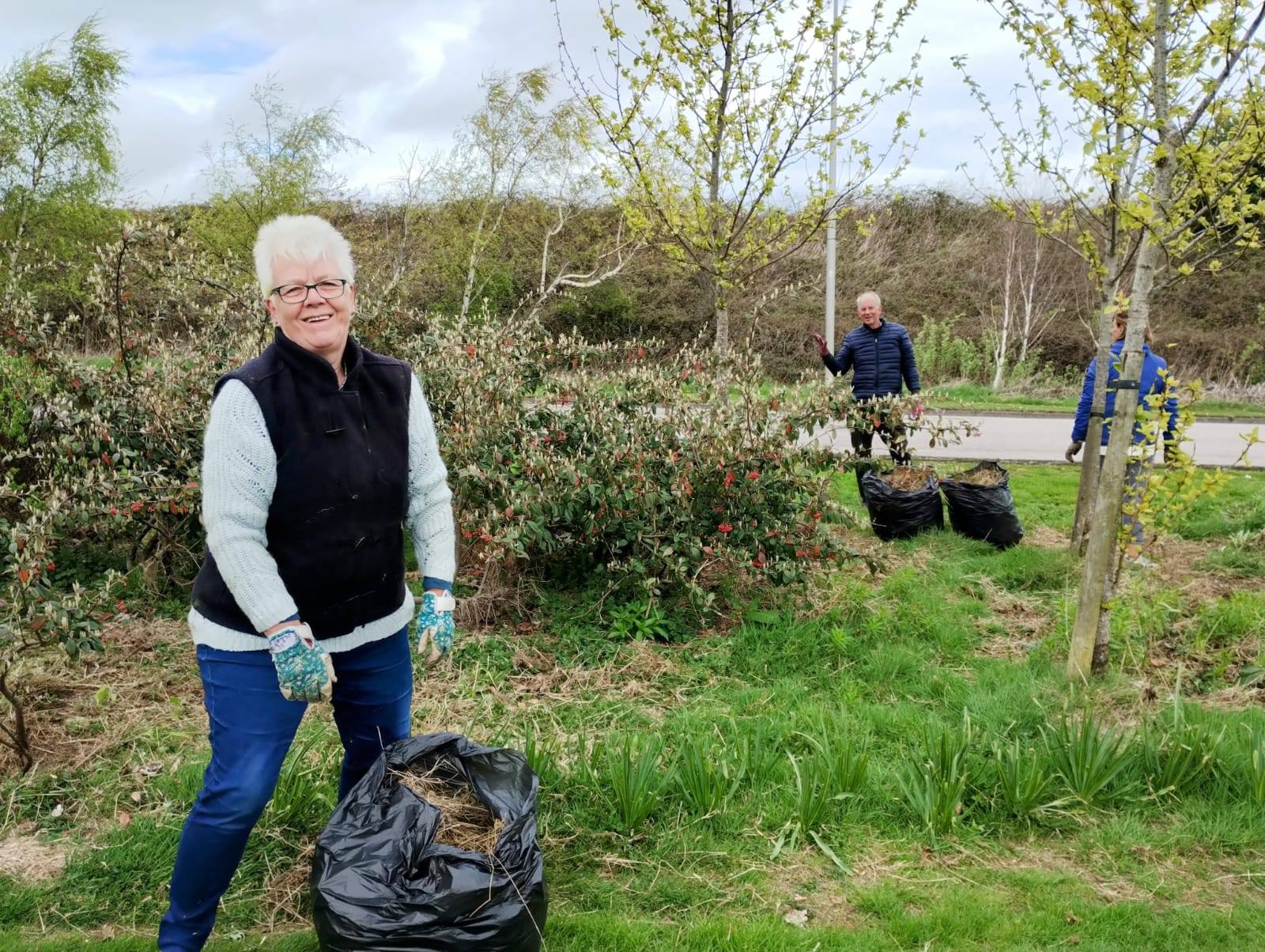 Successful Park Clean Up and Tree Maintenance Session