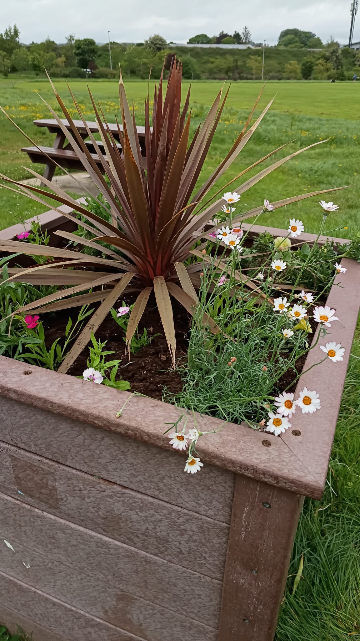 Planters