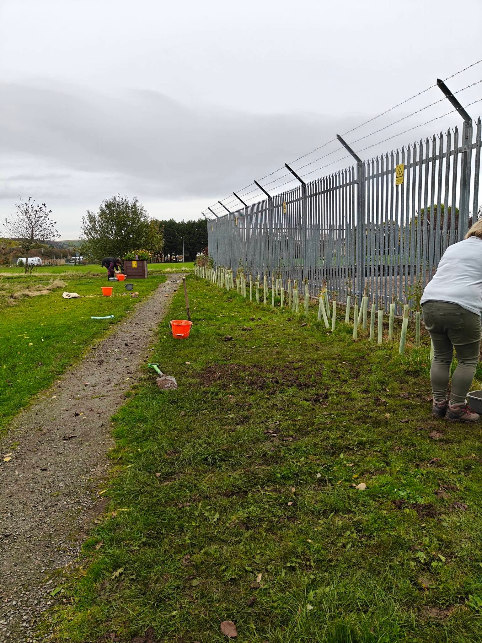 Bulb Planting